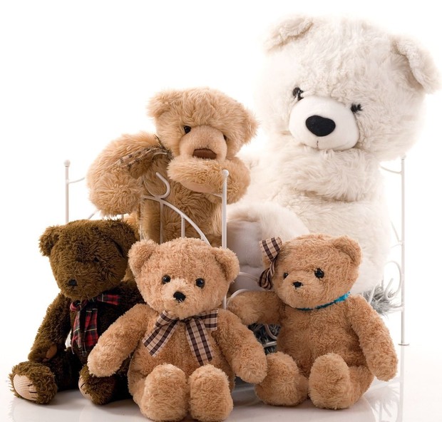 Foto zeigt mehrere Teddybären