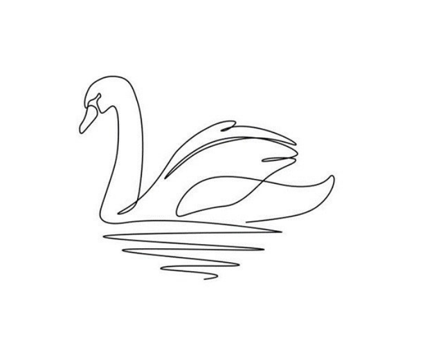 Zeichnung von einem weißen Schwan Zeichnung von einem weißen Schwan