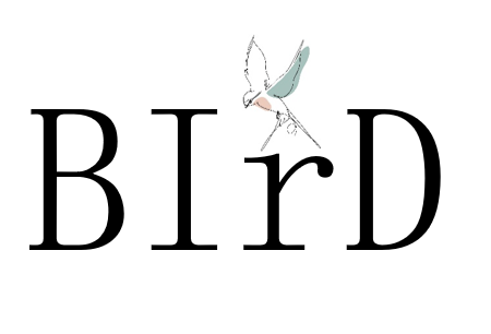 Schriftzug mit den Buchstaben BIRD