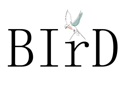 Schriftzug mit den Buchstaben BIRD Schriftzug mit den Buchstaben BIRD