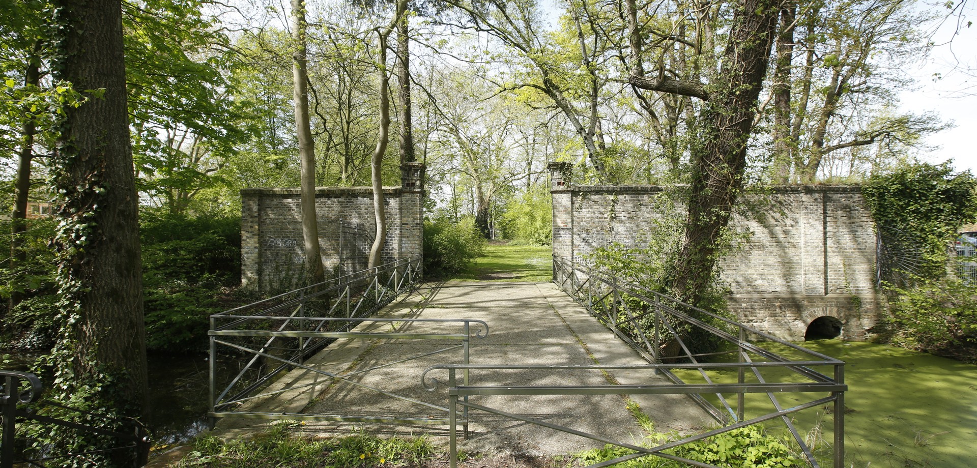 Langer Weg mit Rasen und Bäumen