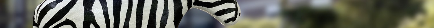 Logo ZEBRA