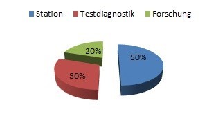 Grafik mit Aufteilung der Tatigkeitsfelder während eines Psychologie-Praktikums